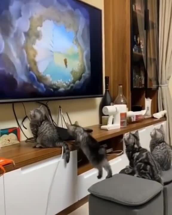 Душевные зрители