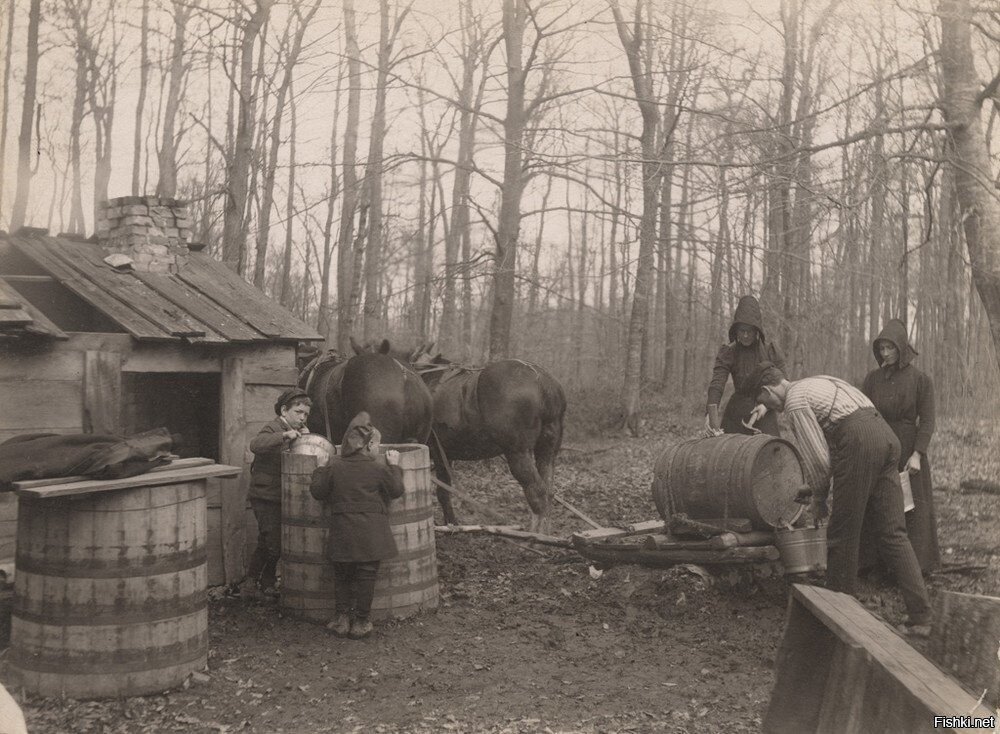 Это на Новый Год