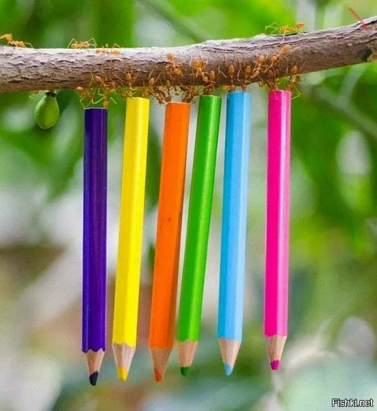 Раскрасим пятничный вечер