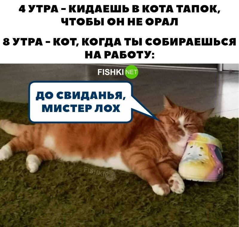 Ля ты крыса