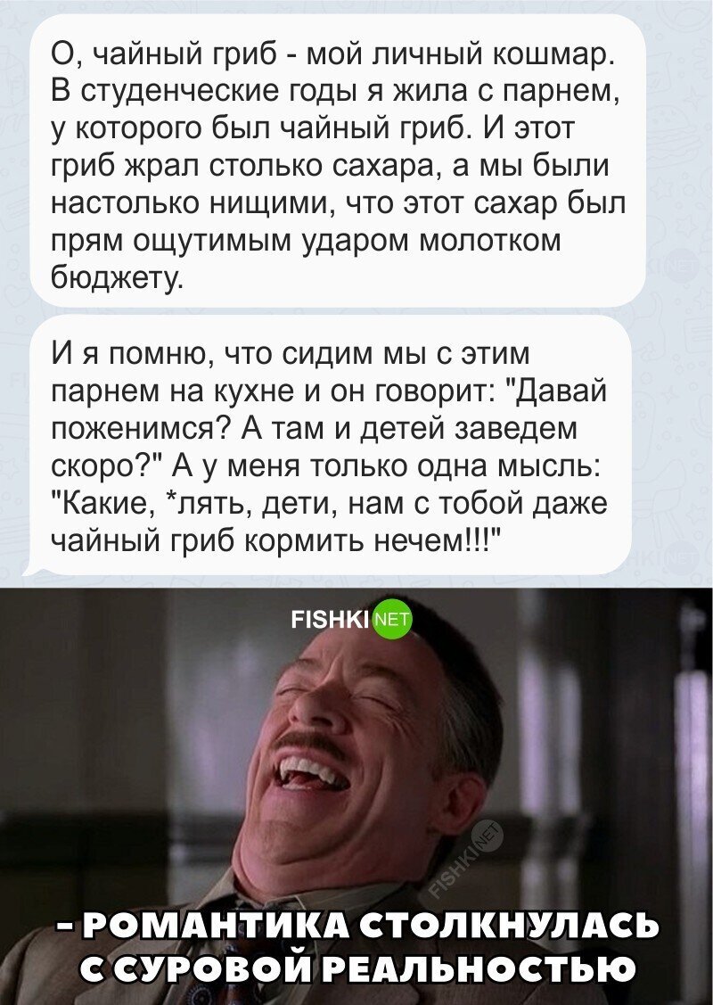Чайный гриб - это святое!
