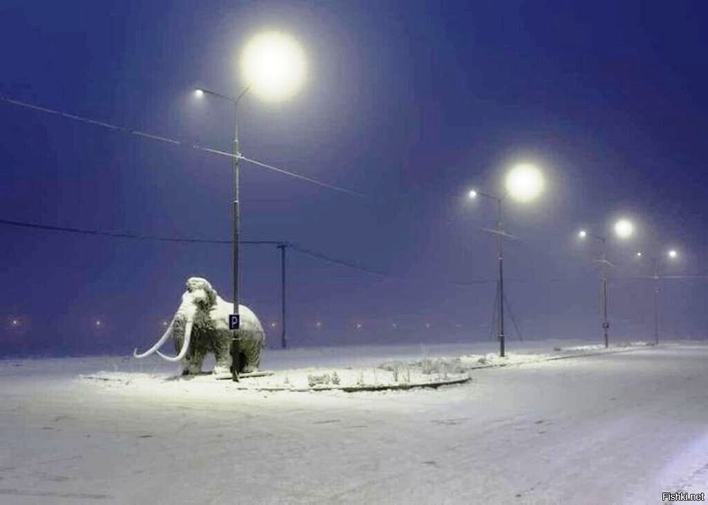 Солянка