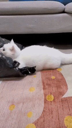 о, и я пойду