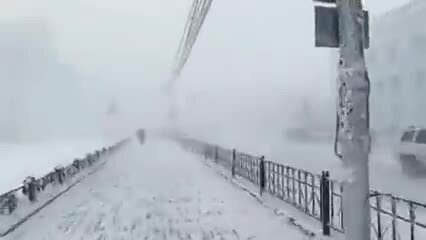 Здесь птицы не поют