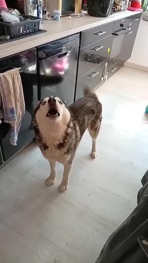 Вот и поговорили