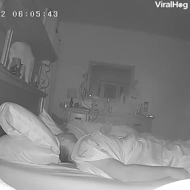 Вас возмущает ночной тыг-дык