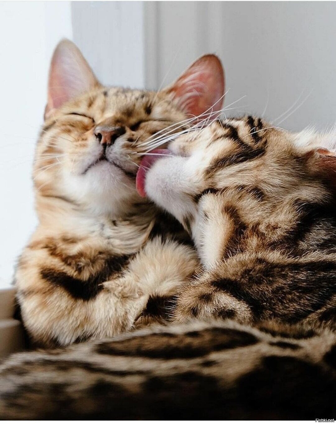 Доброе утро ) Уютных выходных 