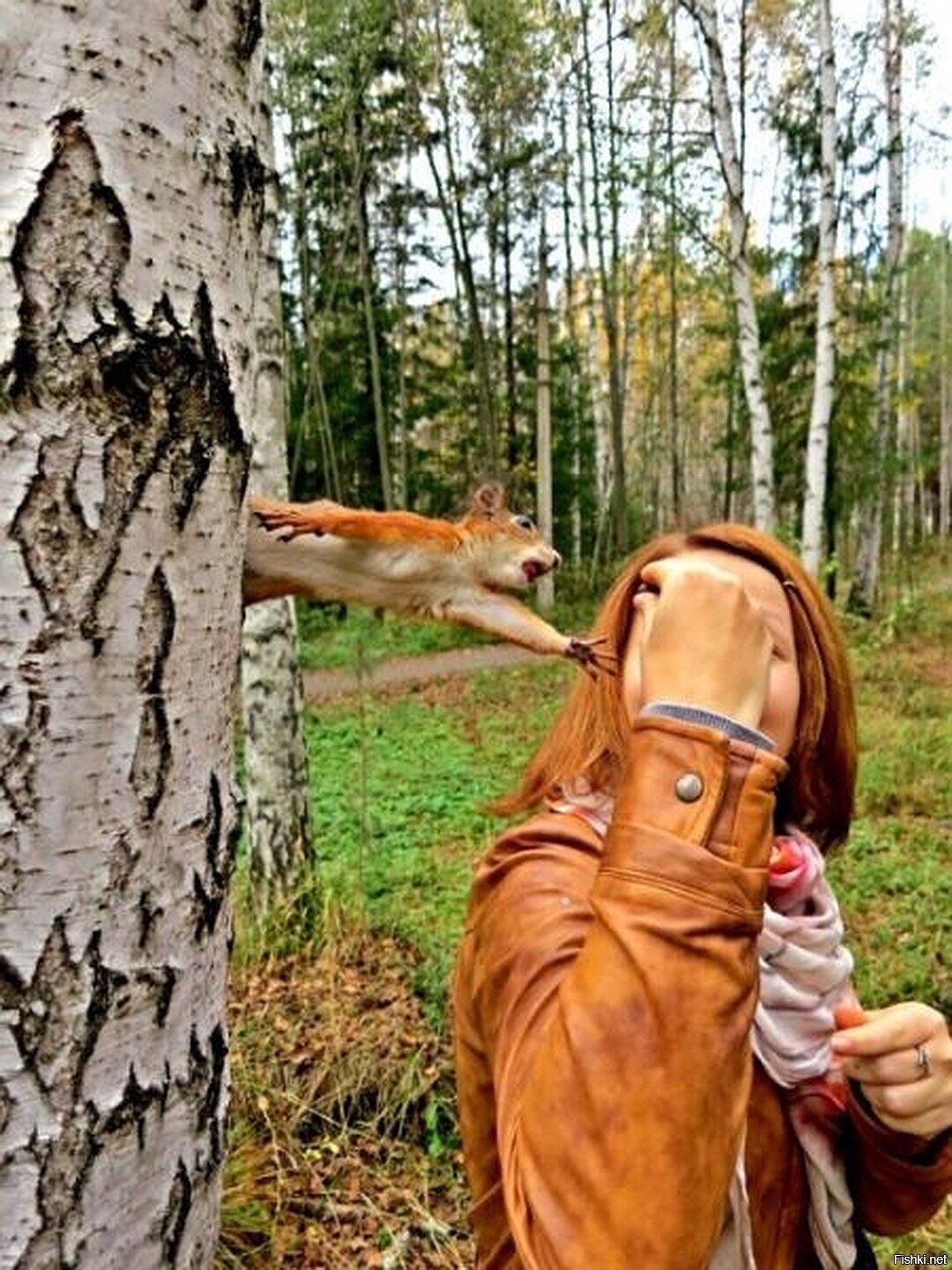 Солянка