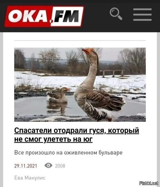Живи, балдей, е@и гусей