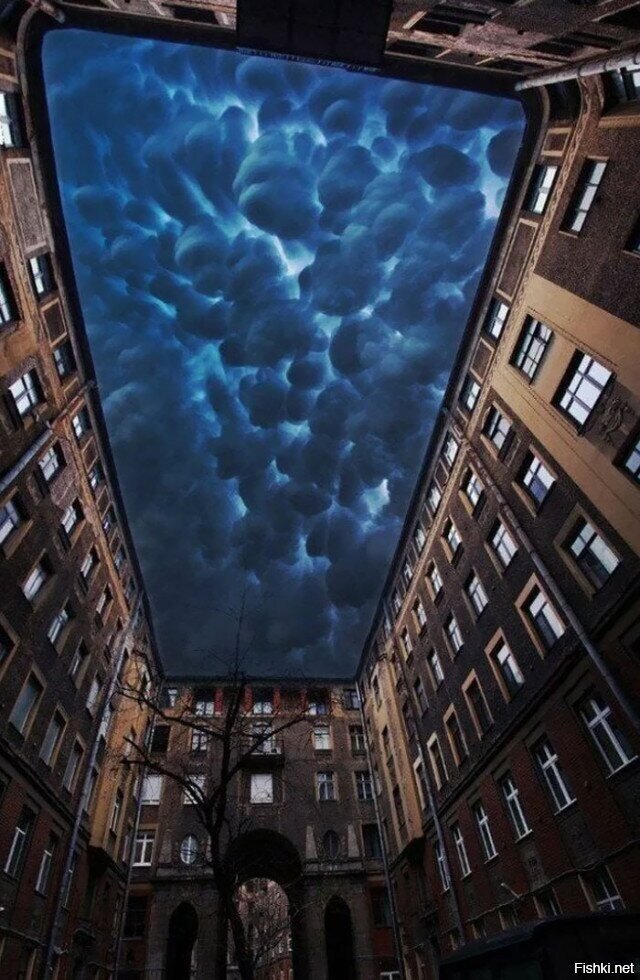 Солянка