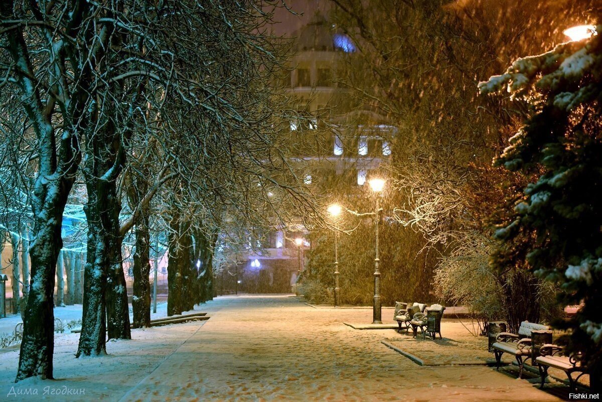 Солянка