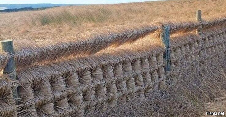прэлэстно