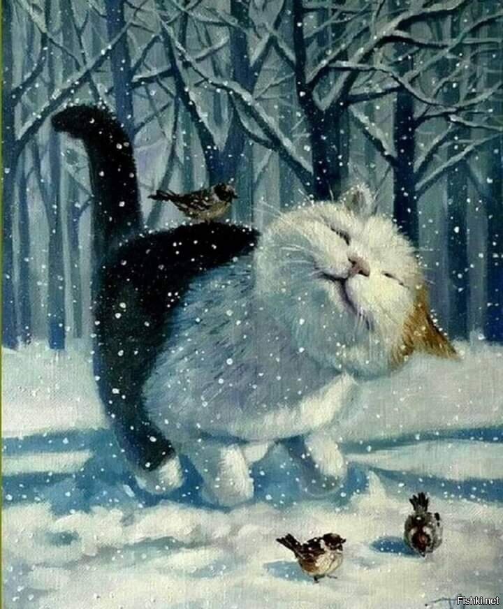 Солянка