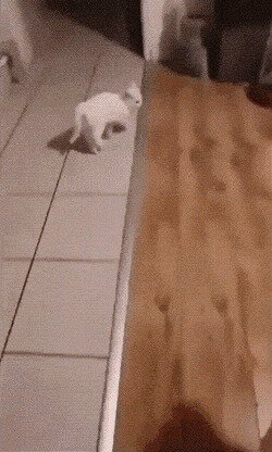 тщщщььь, титаны бьются