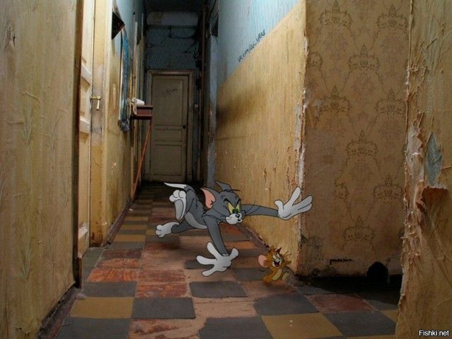Солянка