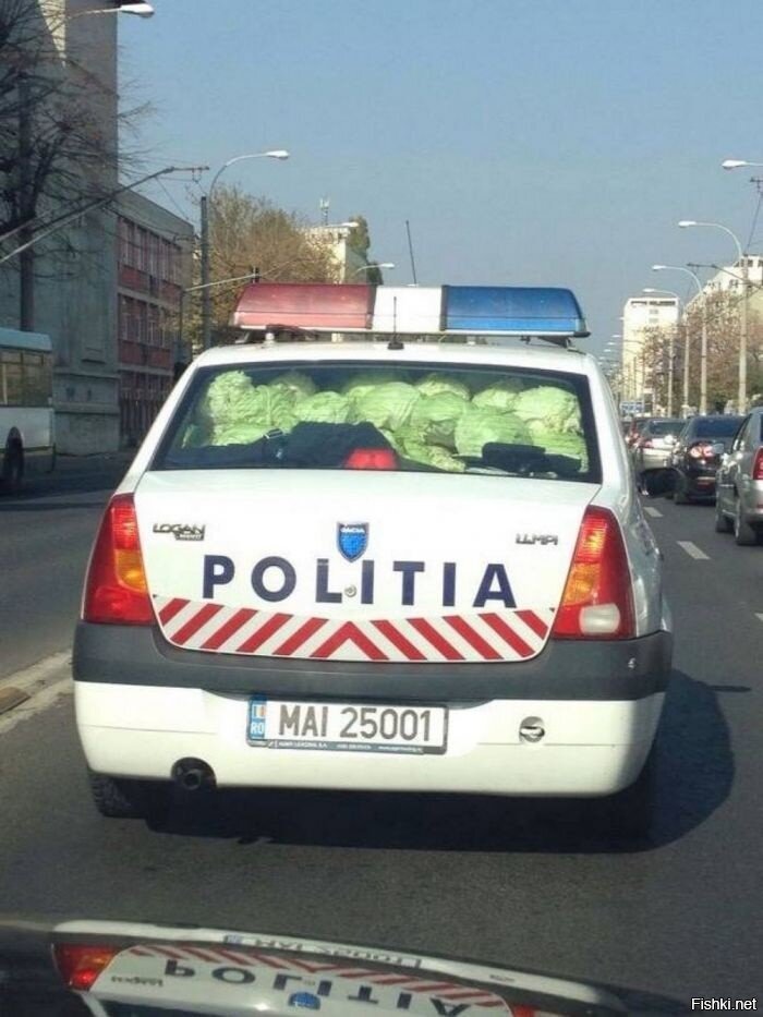во полицаи капусты нарубали