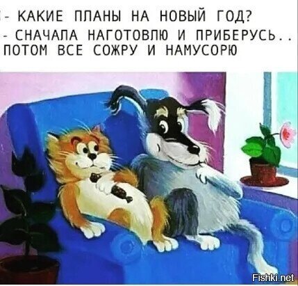 Солянка