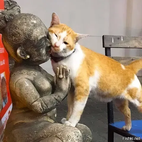 Когда в тебе слишком много любви )))