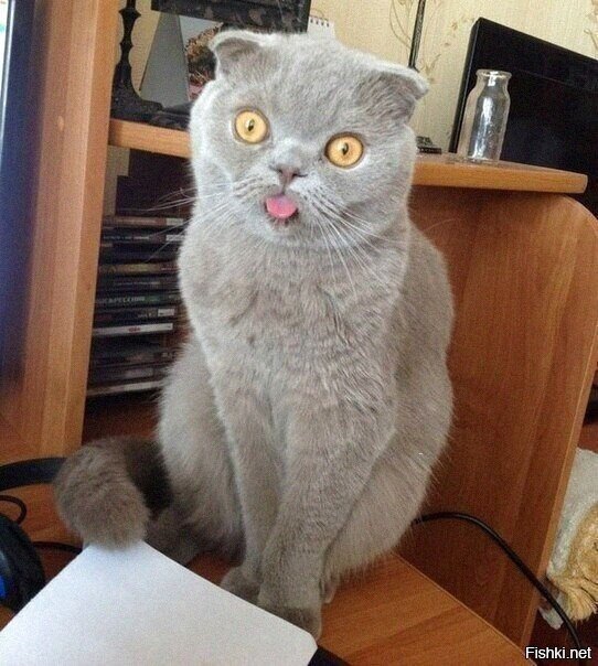 Ух ты, понедельник