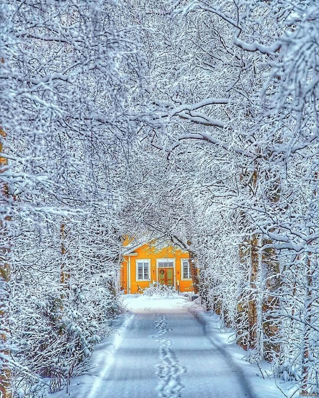 Солянка
