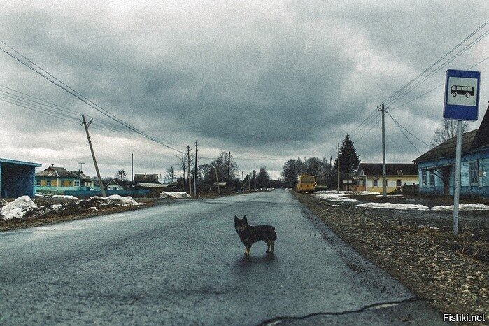 Солянка