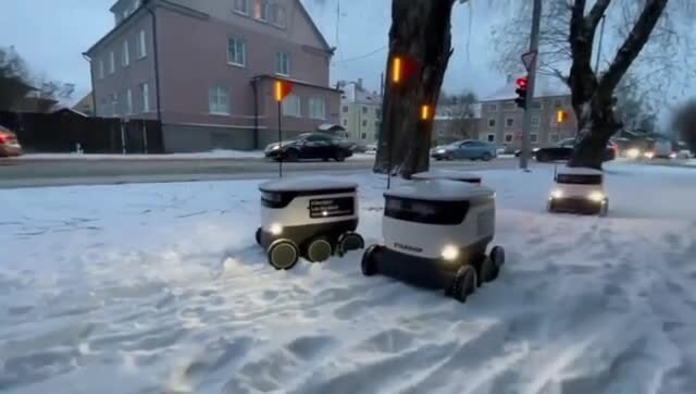 Роботы‐курьеры застряли в сугробах в Эстонии