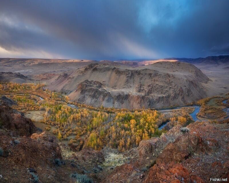 Солянка