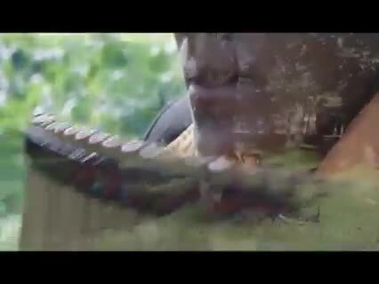 Выйду ночью в поле с конем - Луис Марселло