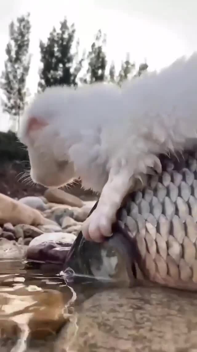 просто невероятно