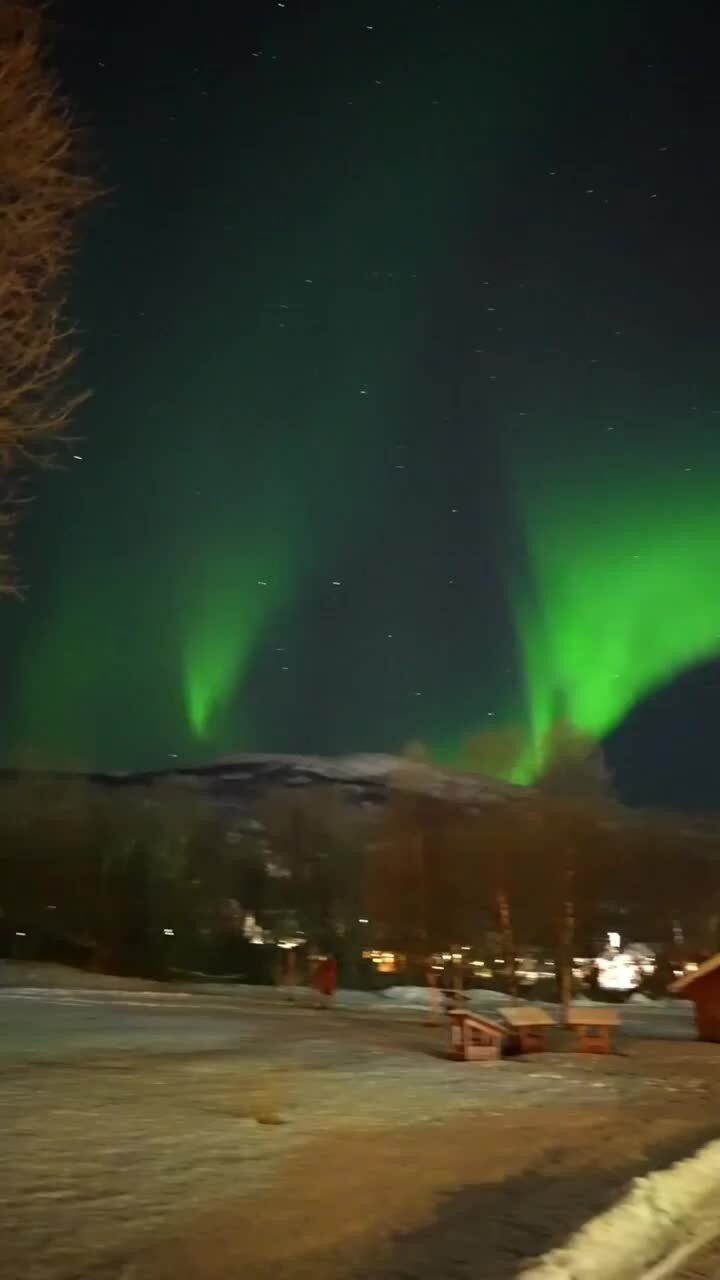 Красота