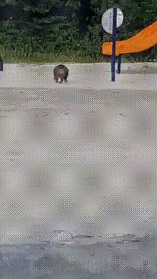 - Не очень-то и хотелось