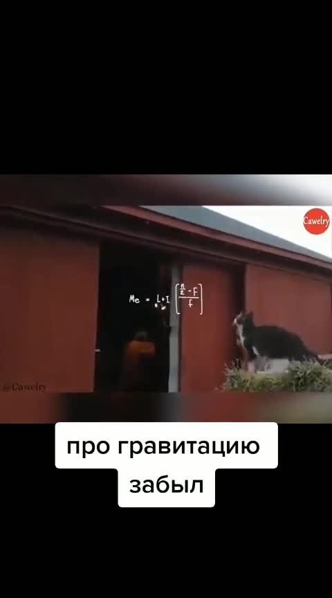 Неверный расчёт)
