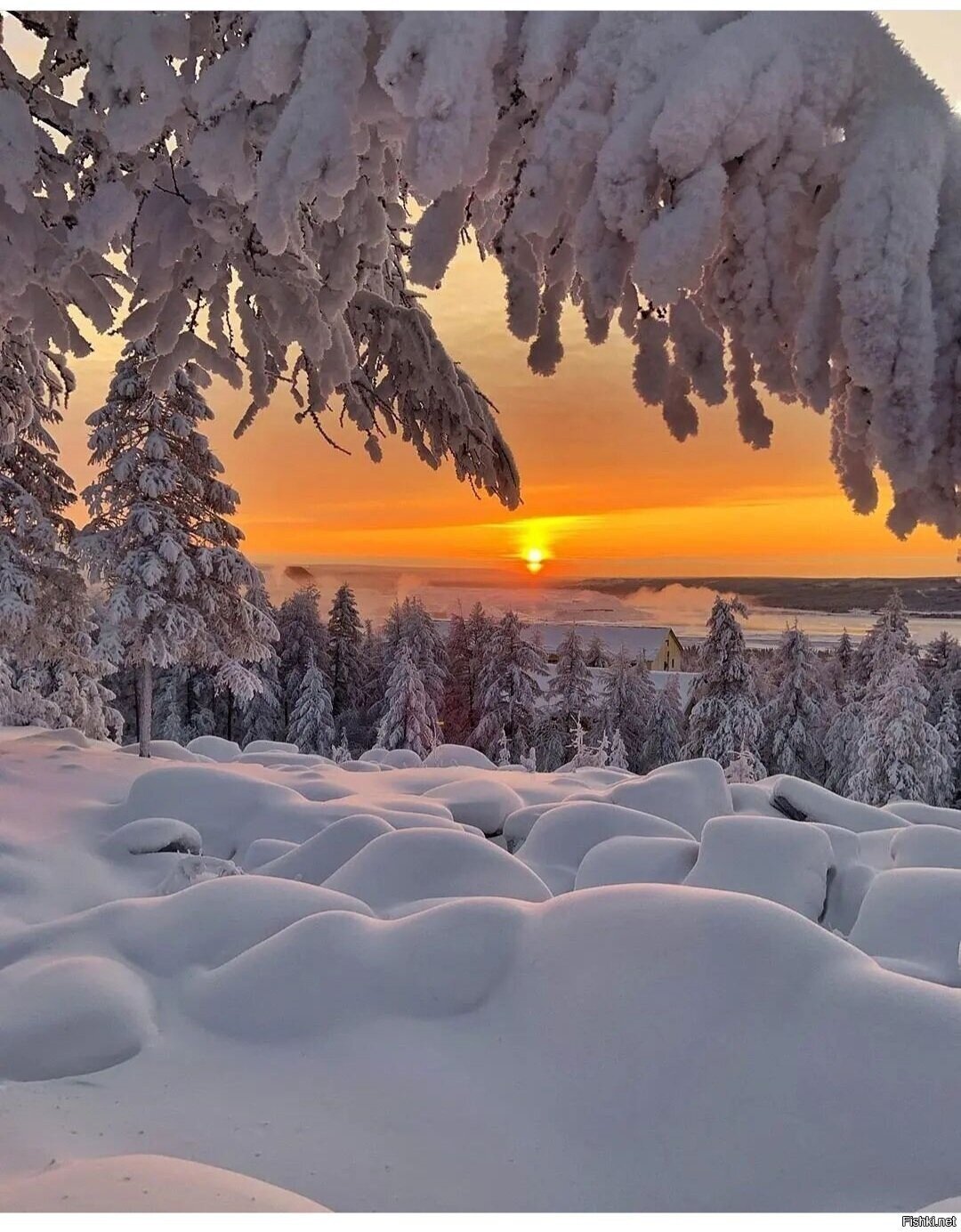 Солянка