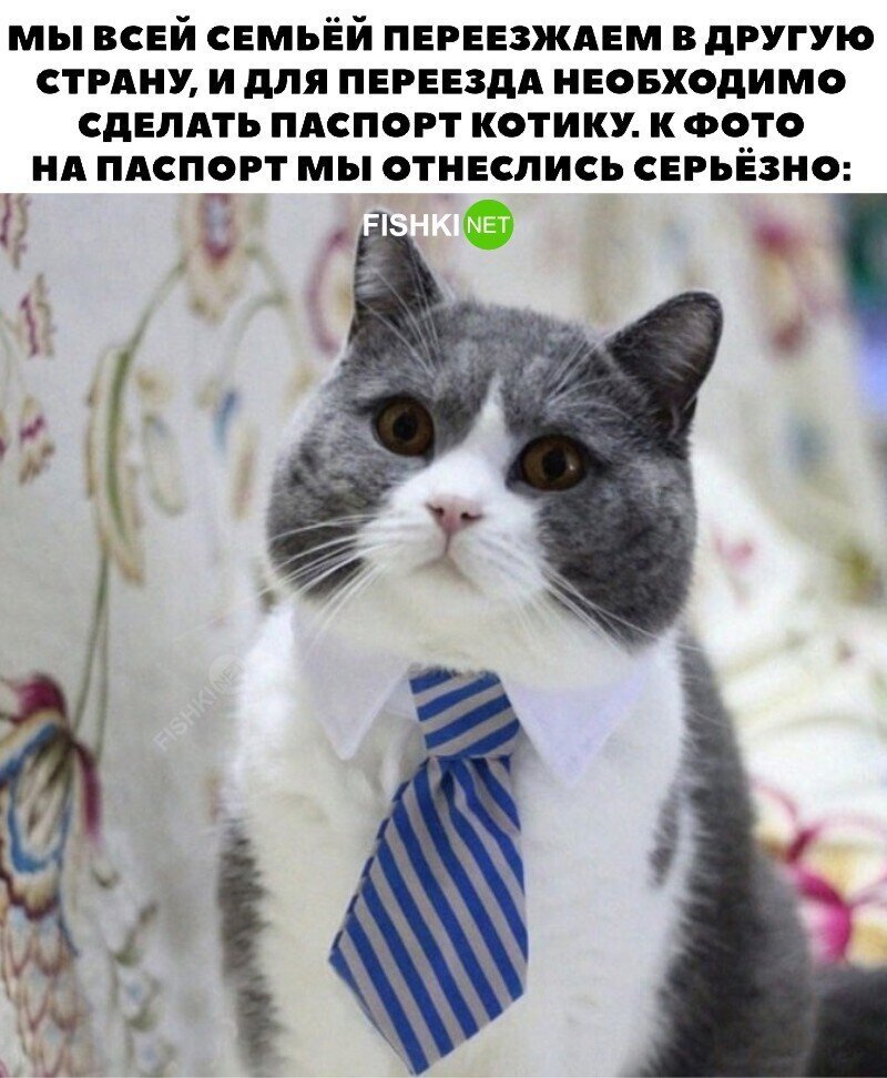 Идеальное фото!