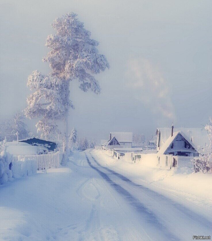 Солянка