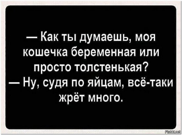 Чего-то фоток котов в &quot;солянке&quot; больше 2 часов нету