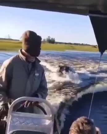 А если мотор заглохнет