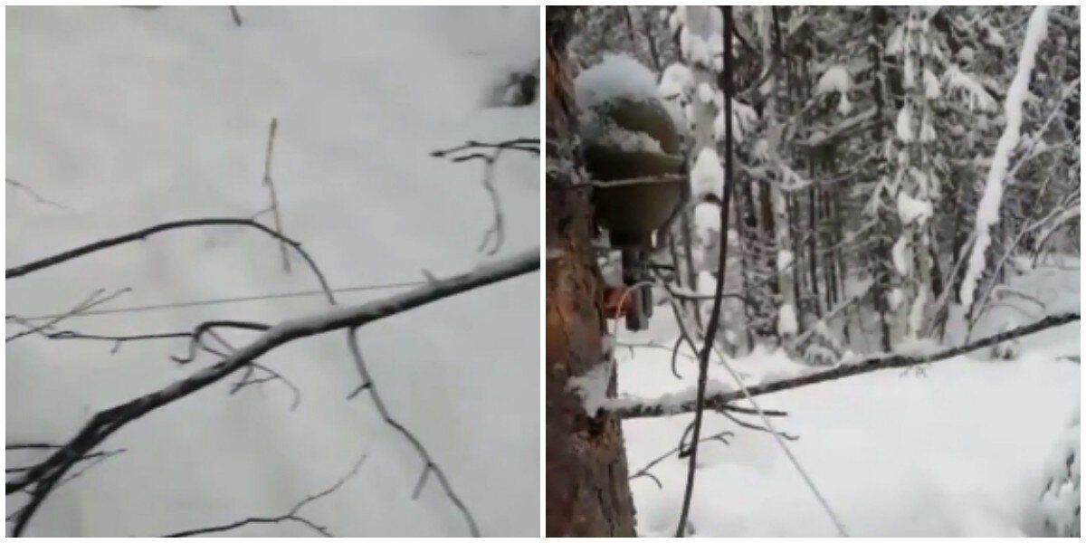В Якутии лыжники чуть не подорвались на растяжке в лесу