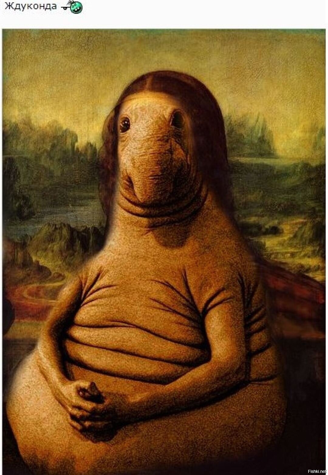 Солянка