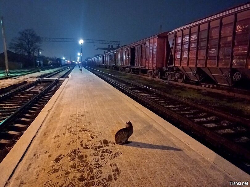 Солянка