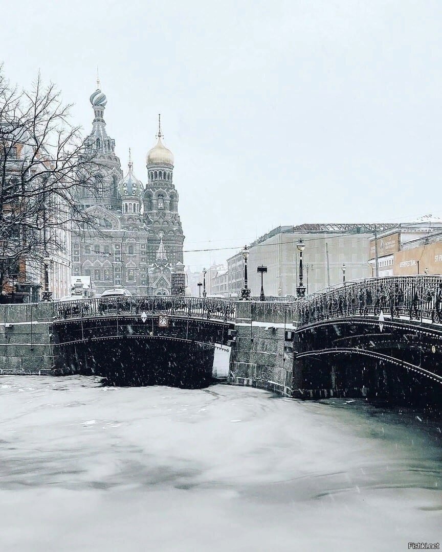 Солянка
