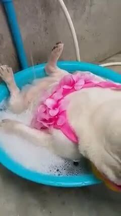 Водные процедуры перед сном