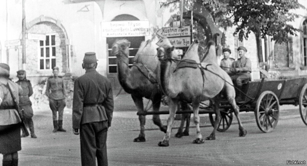 1945 год