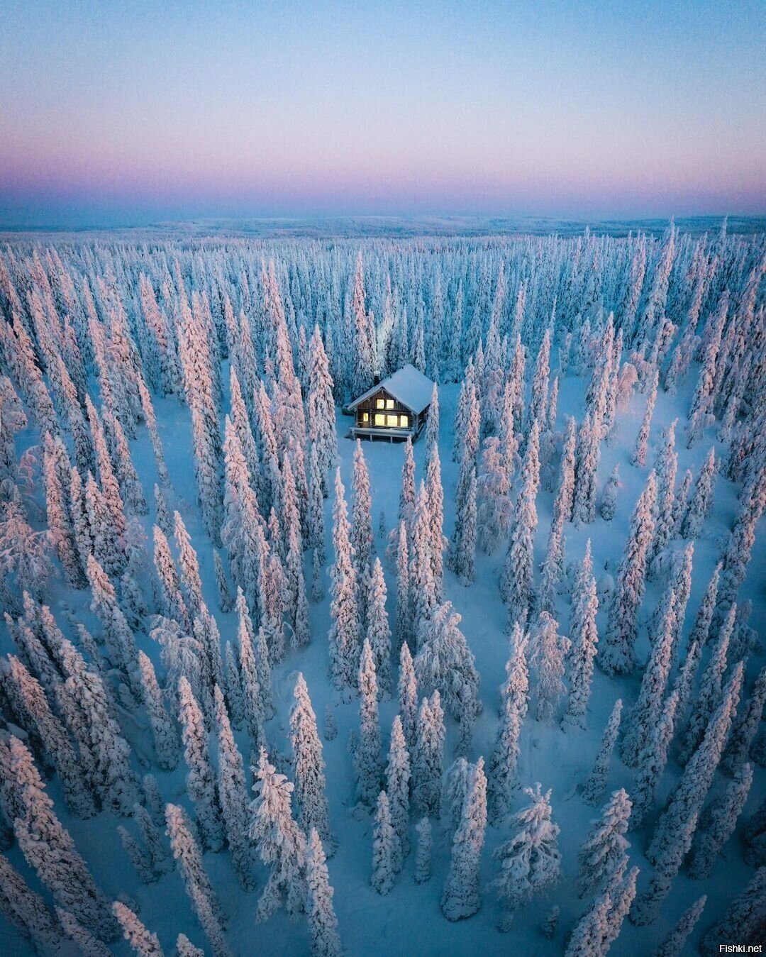 Солянка