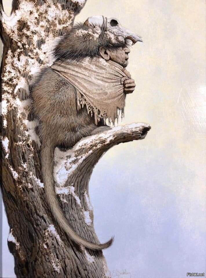 Солянка