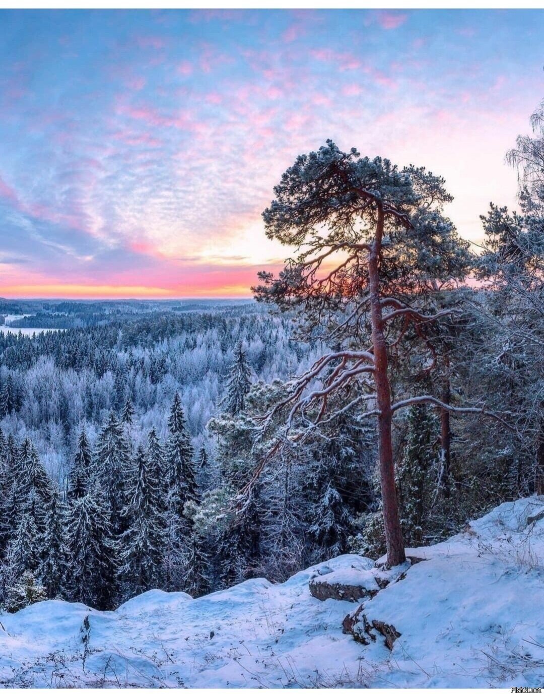 Солянка