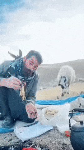 Солянка