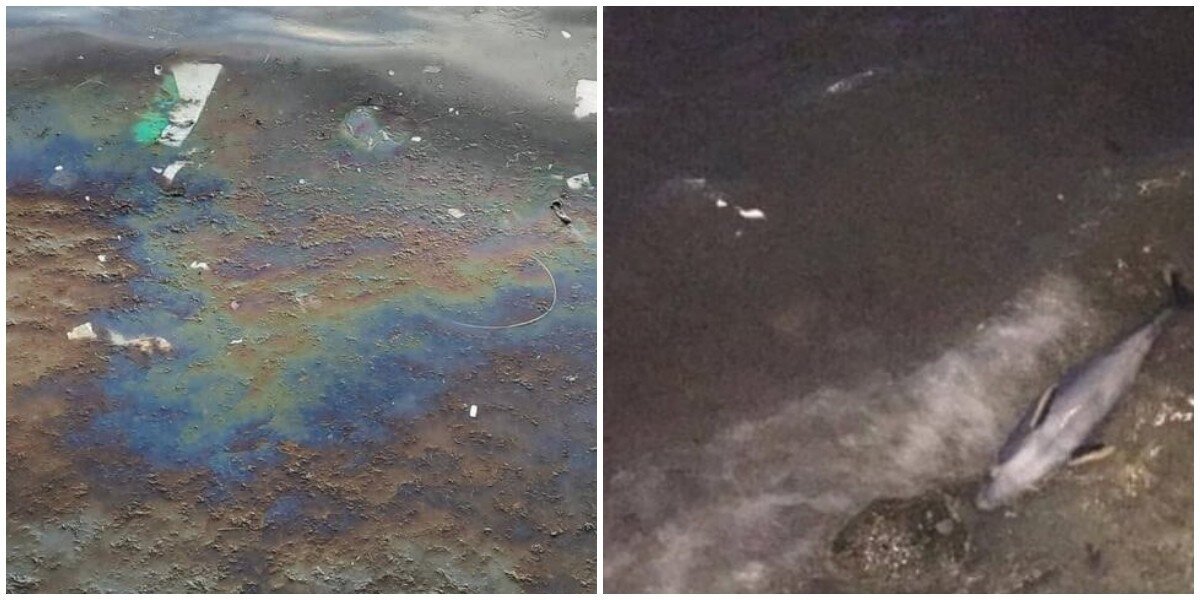 В Геленджике обнаружили нефтяное пятно в море