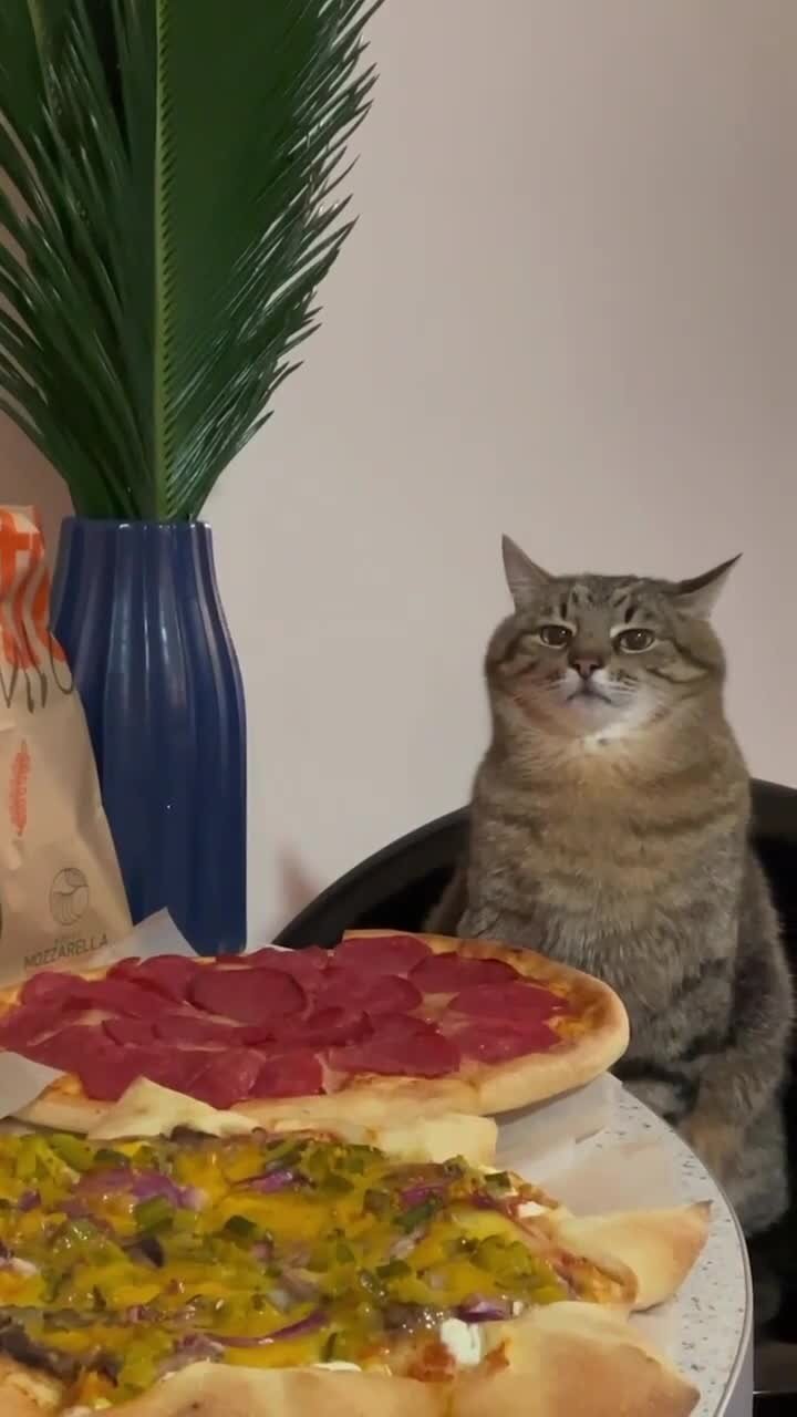 Когда пришел на праздник, но ты на диете)