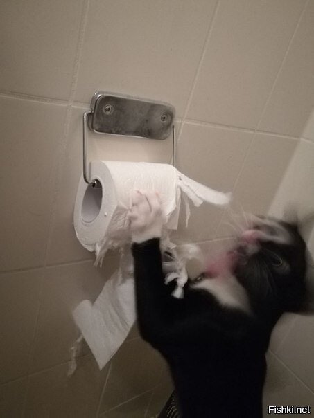 ЯРОСТЬ